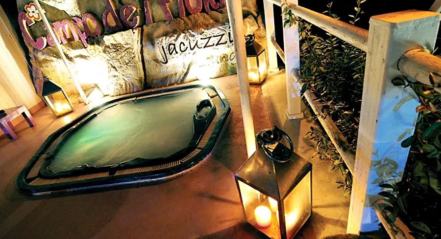 Hotel Boccaccio Calcinaia 4*,  Italie